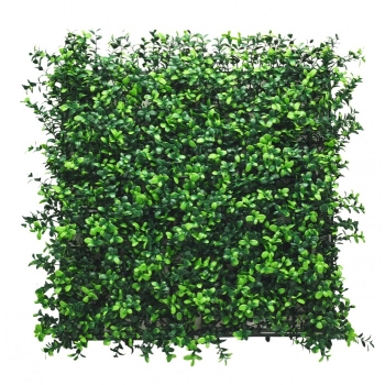 BOXWOOD PANOU VERDE